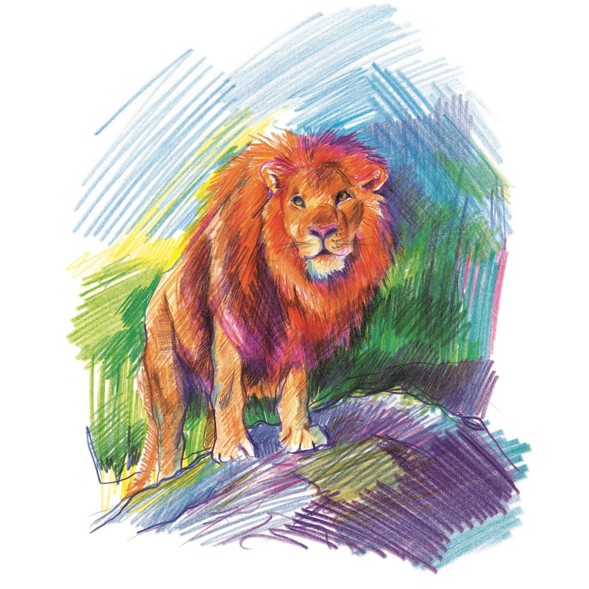 Staedtler Coloured Pencil Noris Jumbo Triangular