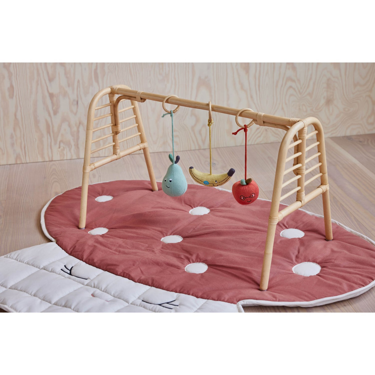 OYOY Nature Nana Mini Activity Play Gym