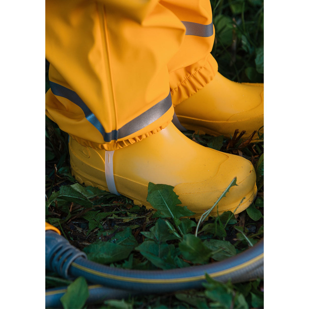 VIKING Sun/Yellow Jolly