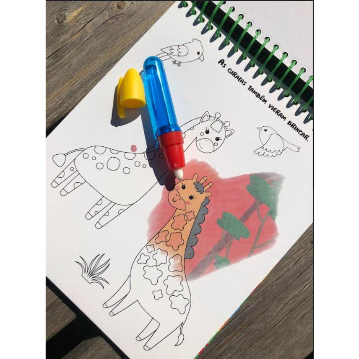 Forlaget Bolden Magic Coloring Book: Vilde Dyr