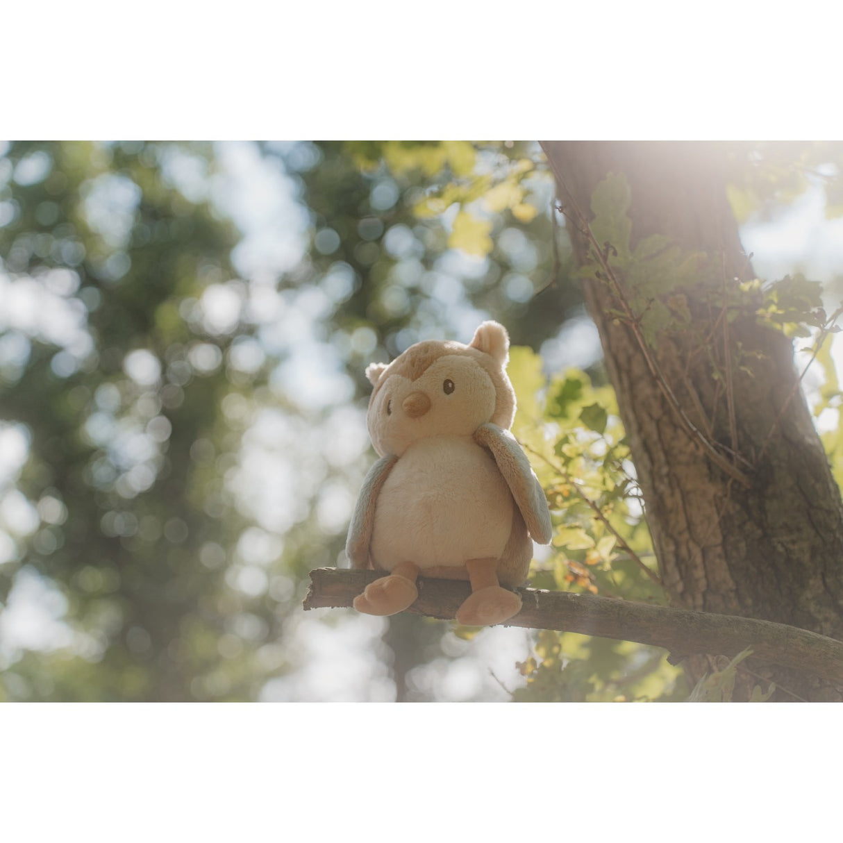 Little Dutch Forest Friends Blue Teddy Owl