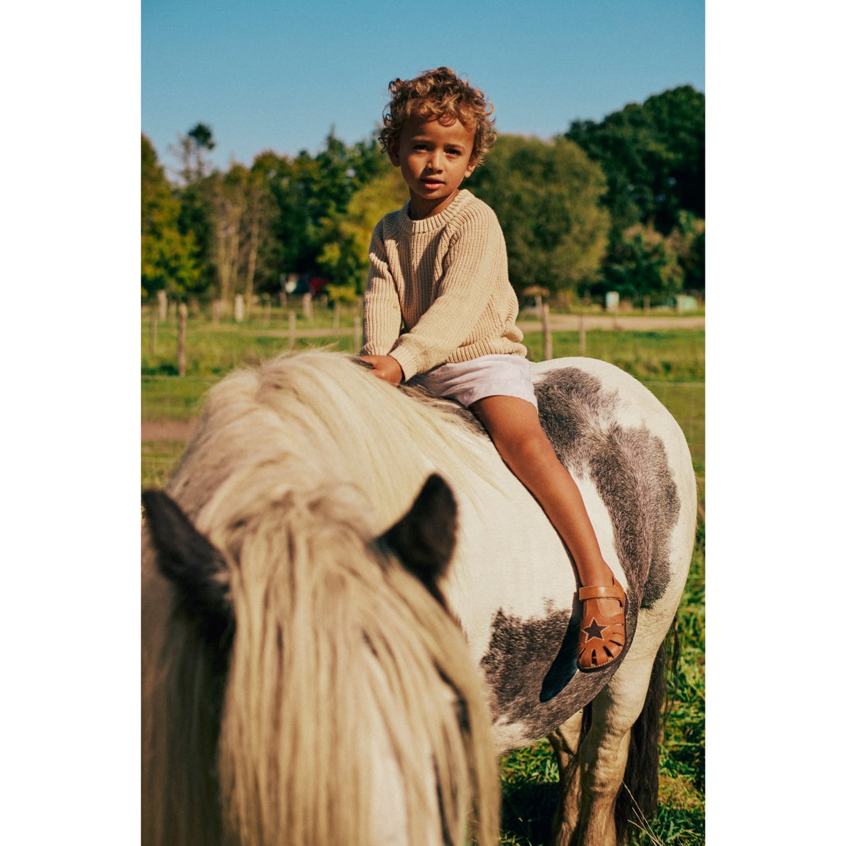 Angulus Tan/Dark Brown Leather Sandal with Star Detail