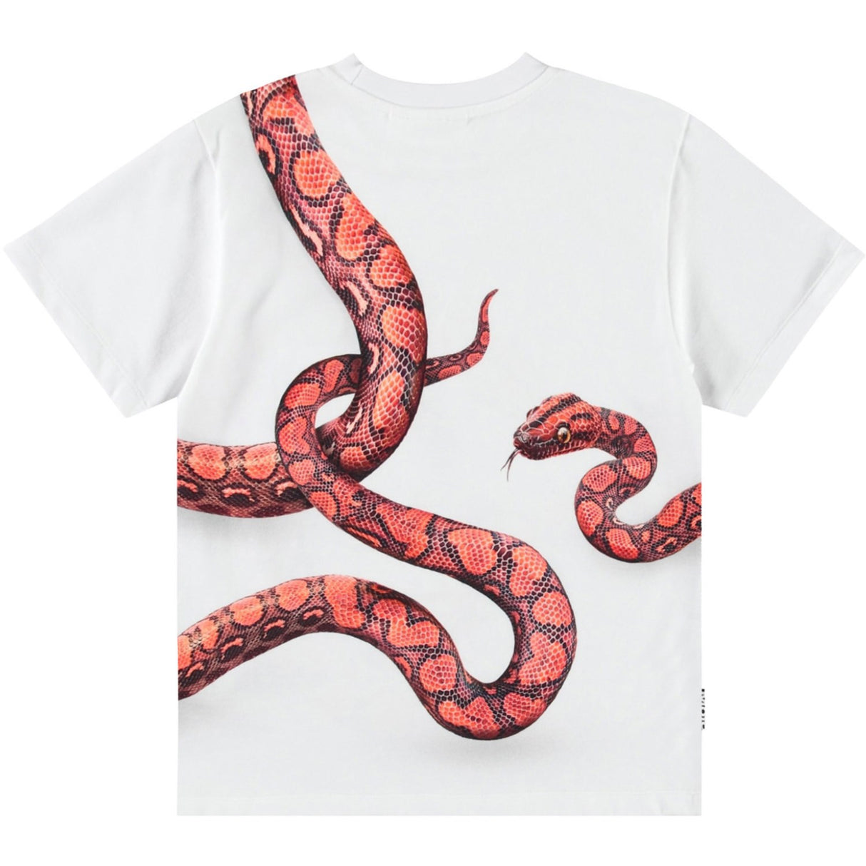Molo Red Snake Rubin T-Shirt
