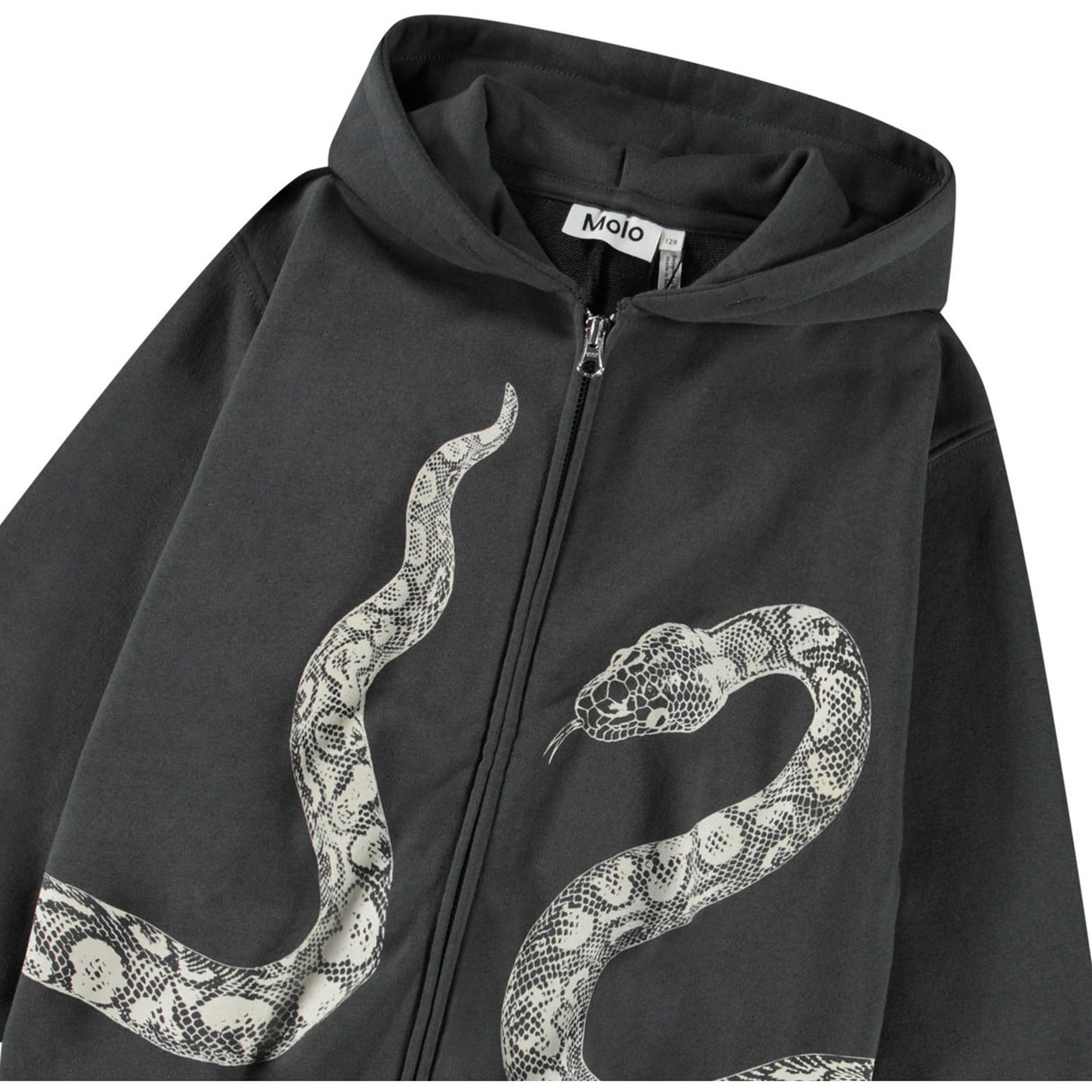 Molo Unexplored Mazzo Hoodie