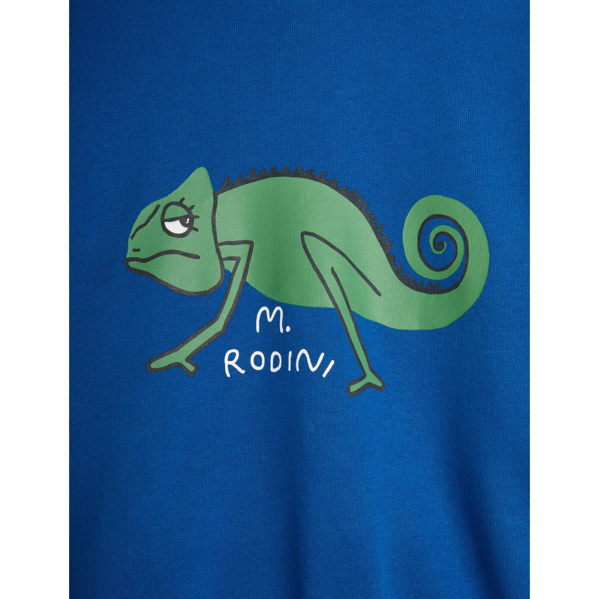 Mini Rodini Blue Lizard Sweatshirt