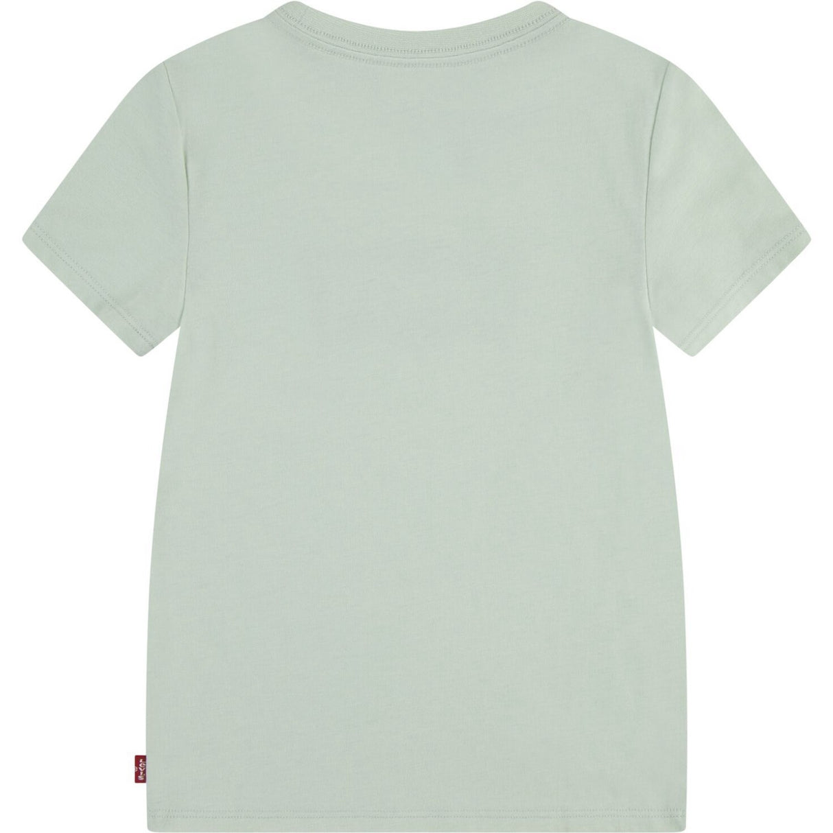 Levi's Celadon Lvg Batwing Tee