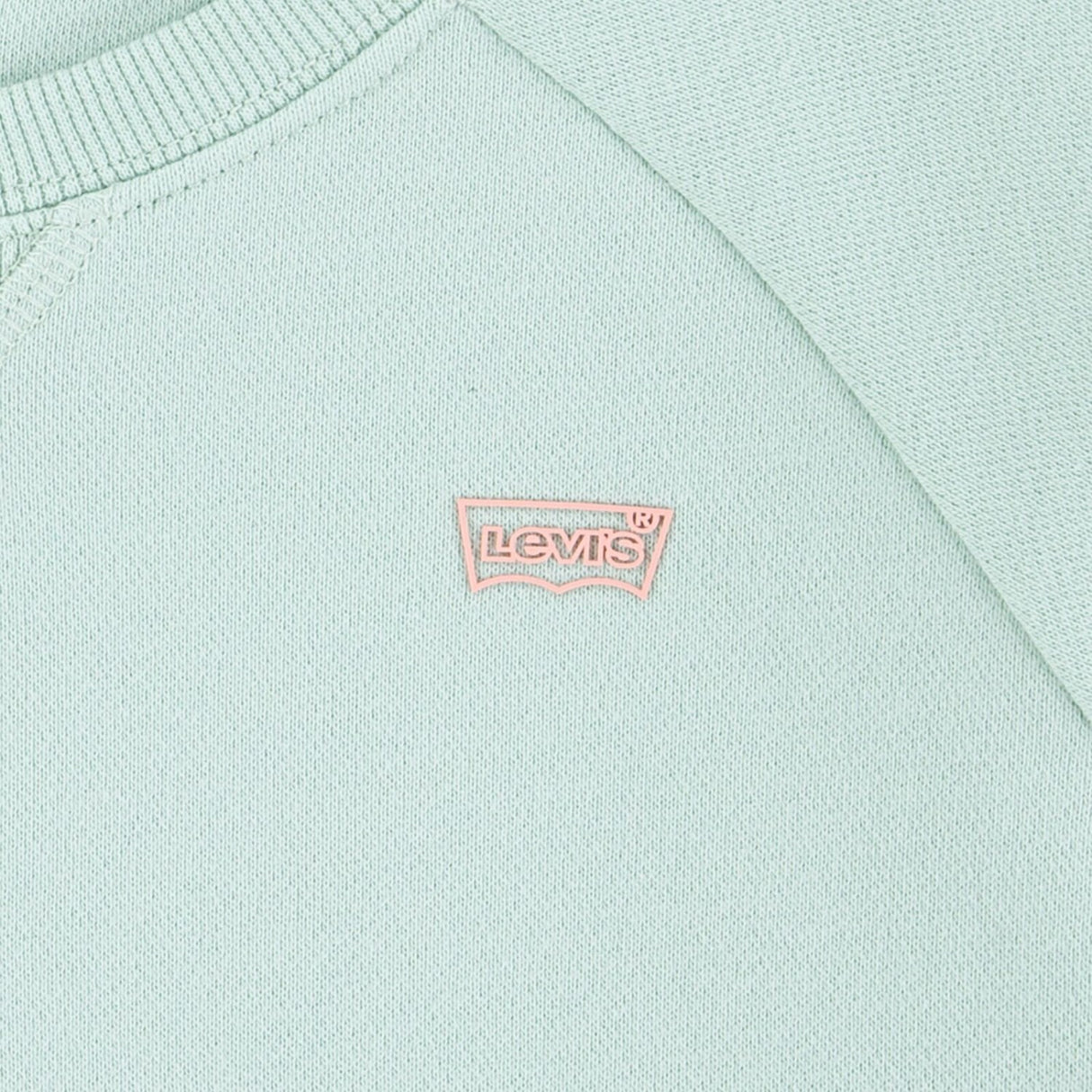 Levi's Celadon Lvg Levis Hd Silicone Batwing Sweatshirt