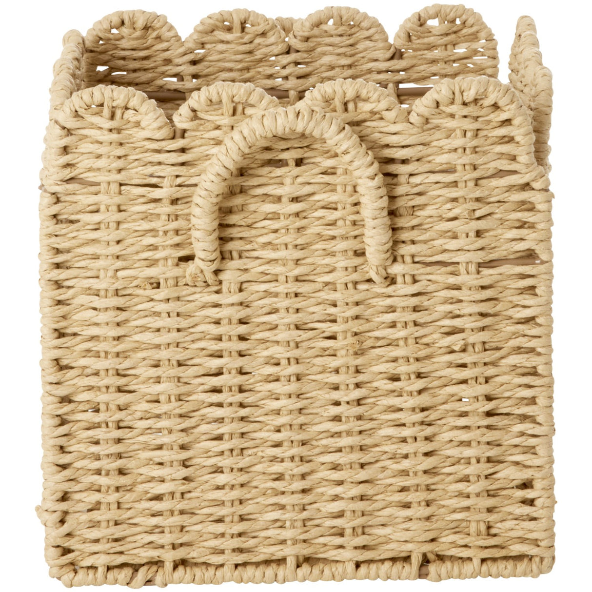 Rice Paper Rope Foldable Basket In Nature - Small