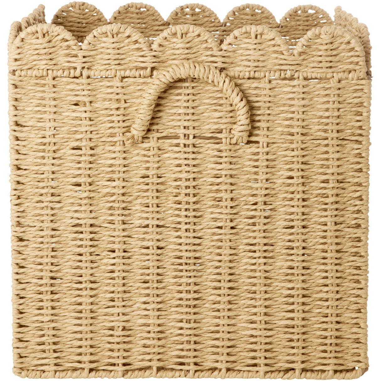 Rice Paper Rope Foldable Basket In Nature - Large
