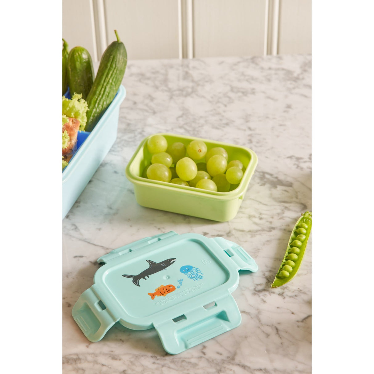 Rice Lunchbox With Airtight Lid And Wildlife Print - Mint - Small