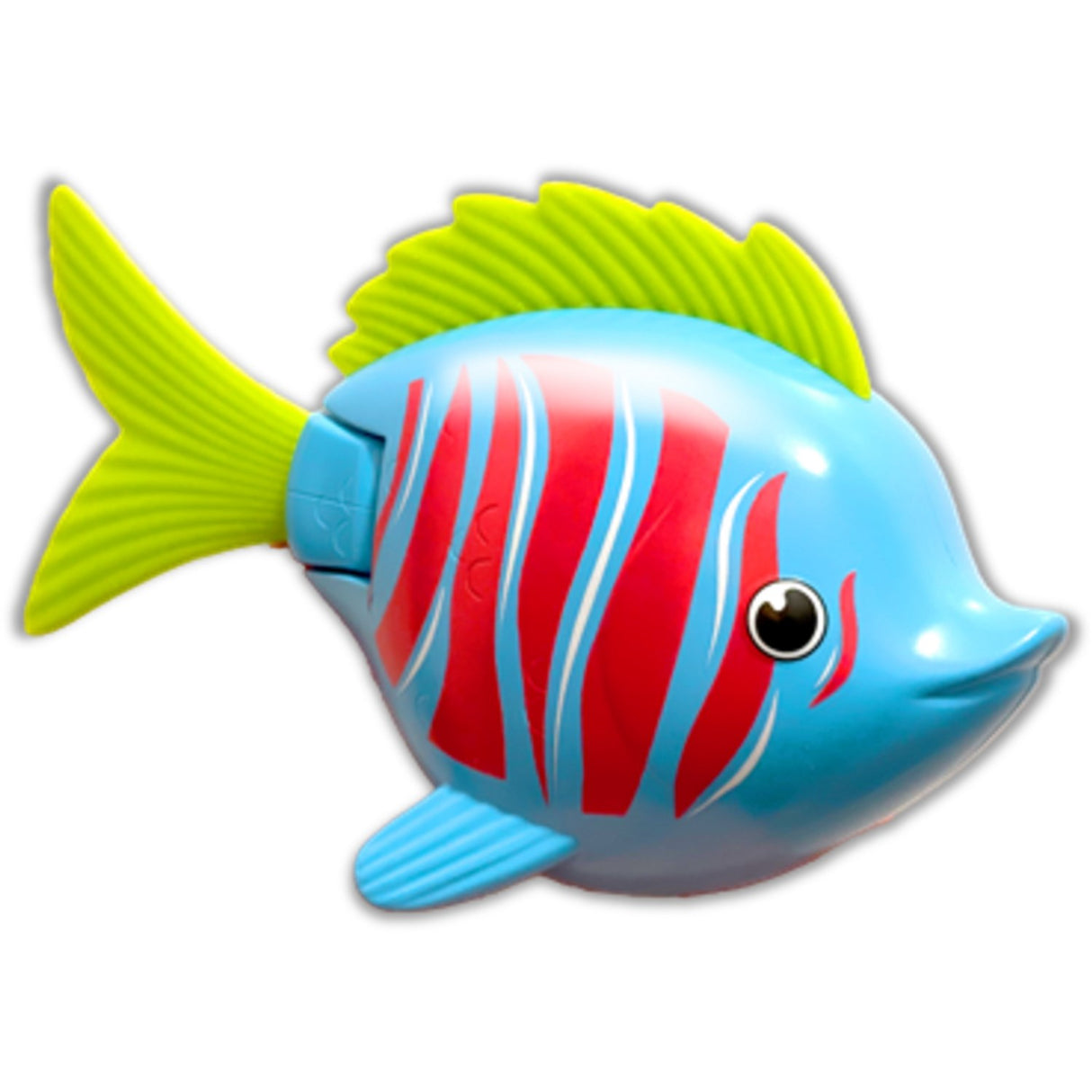 Rainbow Reef Fish Beta Fish