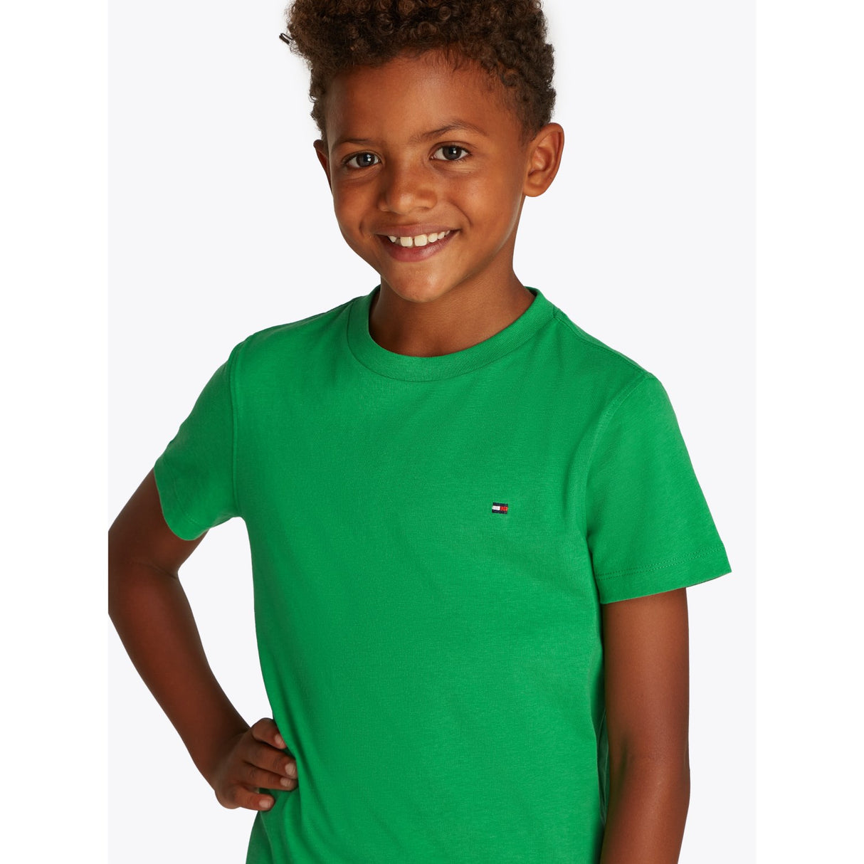 Tommy Hilfiger Radiant Green Essential Cotton Reg T-Shirt