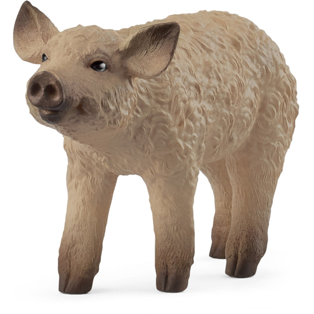 Schleich Mangalica Piglet