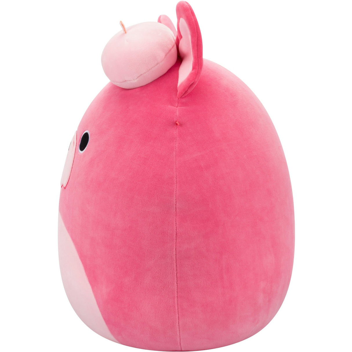 Squishmallows 40 Cm P22 French Bulldog