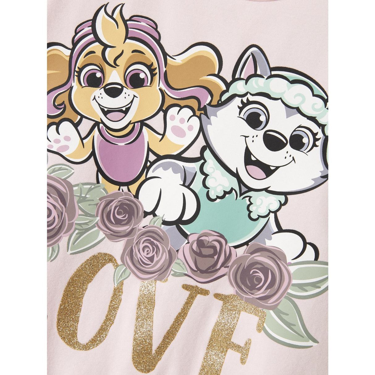 Name It Ballerina Mema Paw Patrol Dress