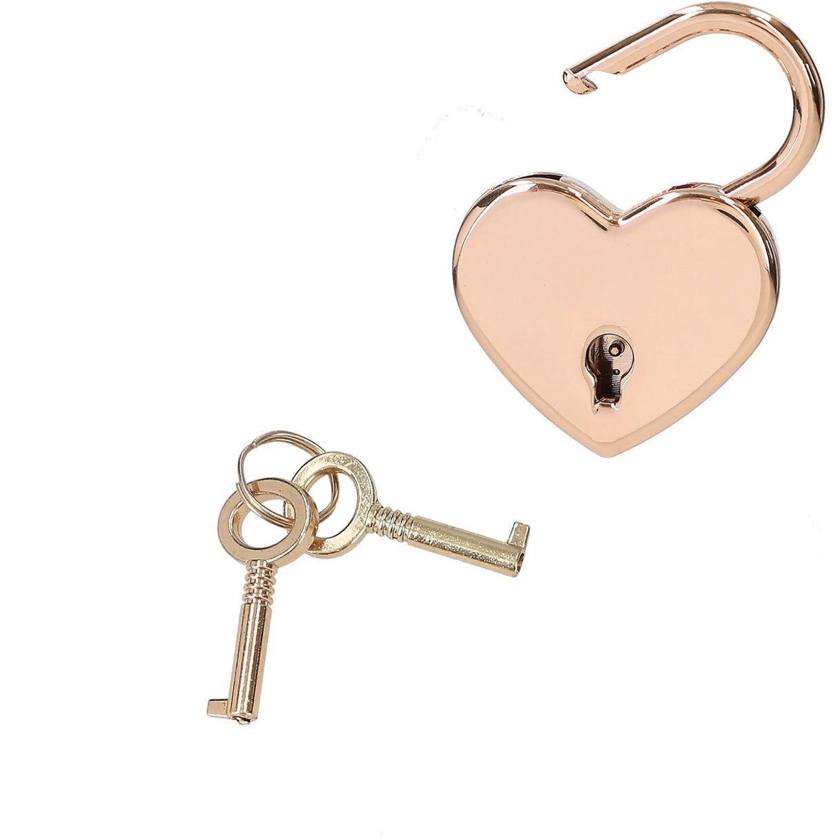 TOPModel Diary With Secret Pen