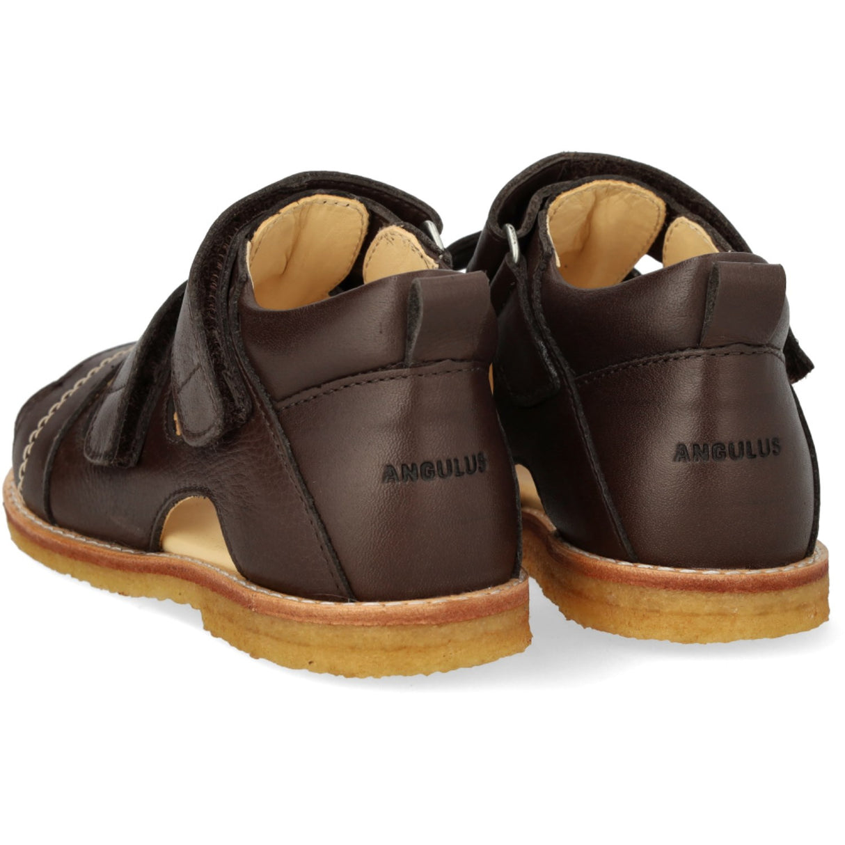 Angulus Dark Brown Beginner Sandal Med Velcro Closure