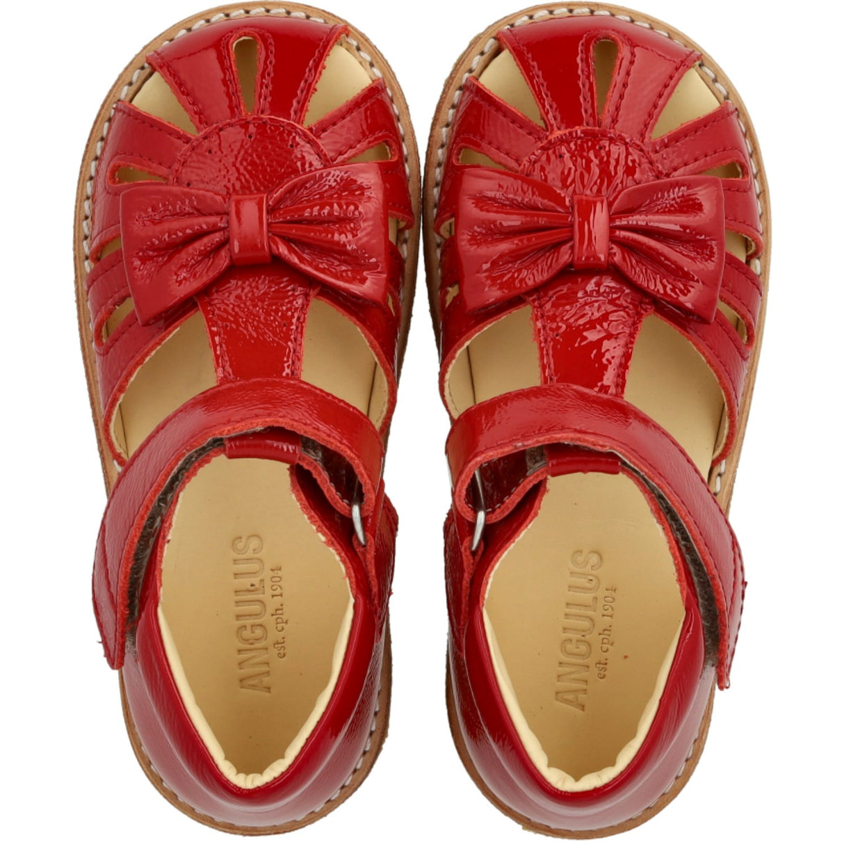 Angulus Dark Red Beginner Sandal with Bow and Velcro Closure