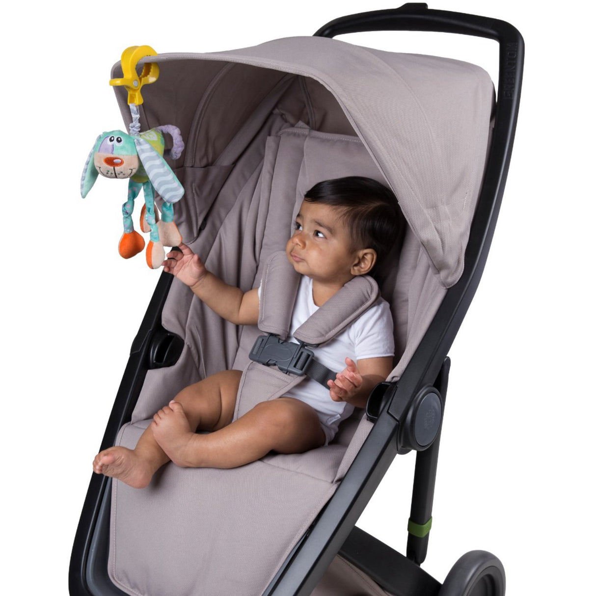 PlayGro Wonky Wiggler Dog