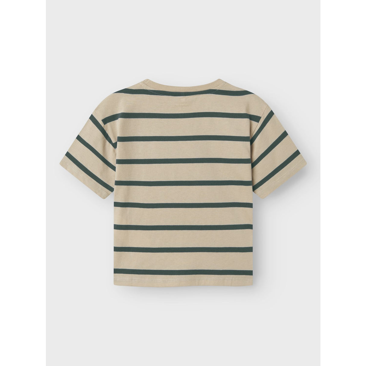 Name It Peyote Garden Topiary Nmmlavon Ss Rlx Top