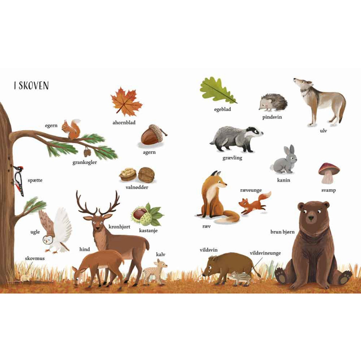 Forlaget Bolden Jeg Ser På: Naturen Med Min Store Billedordbog