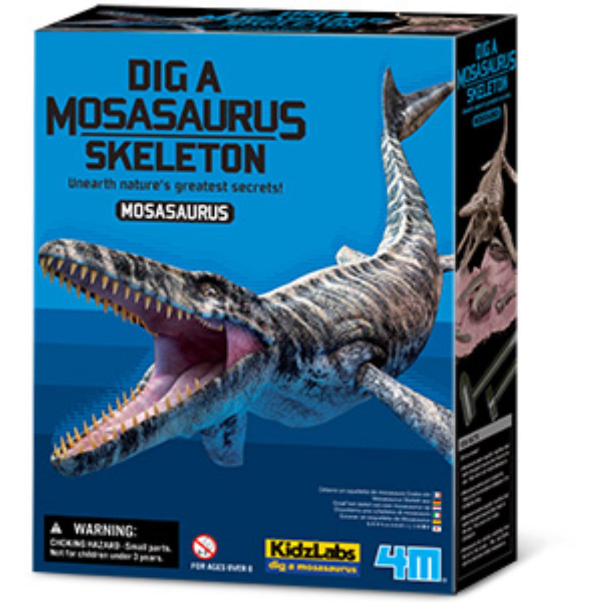 4M Excavate A Mosasaurus-Skeleton