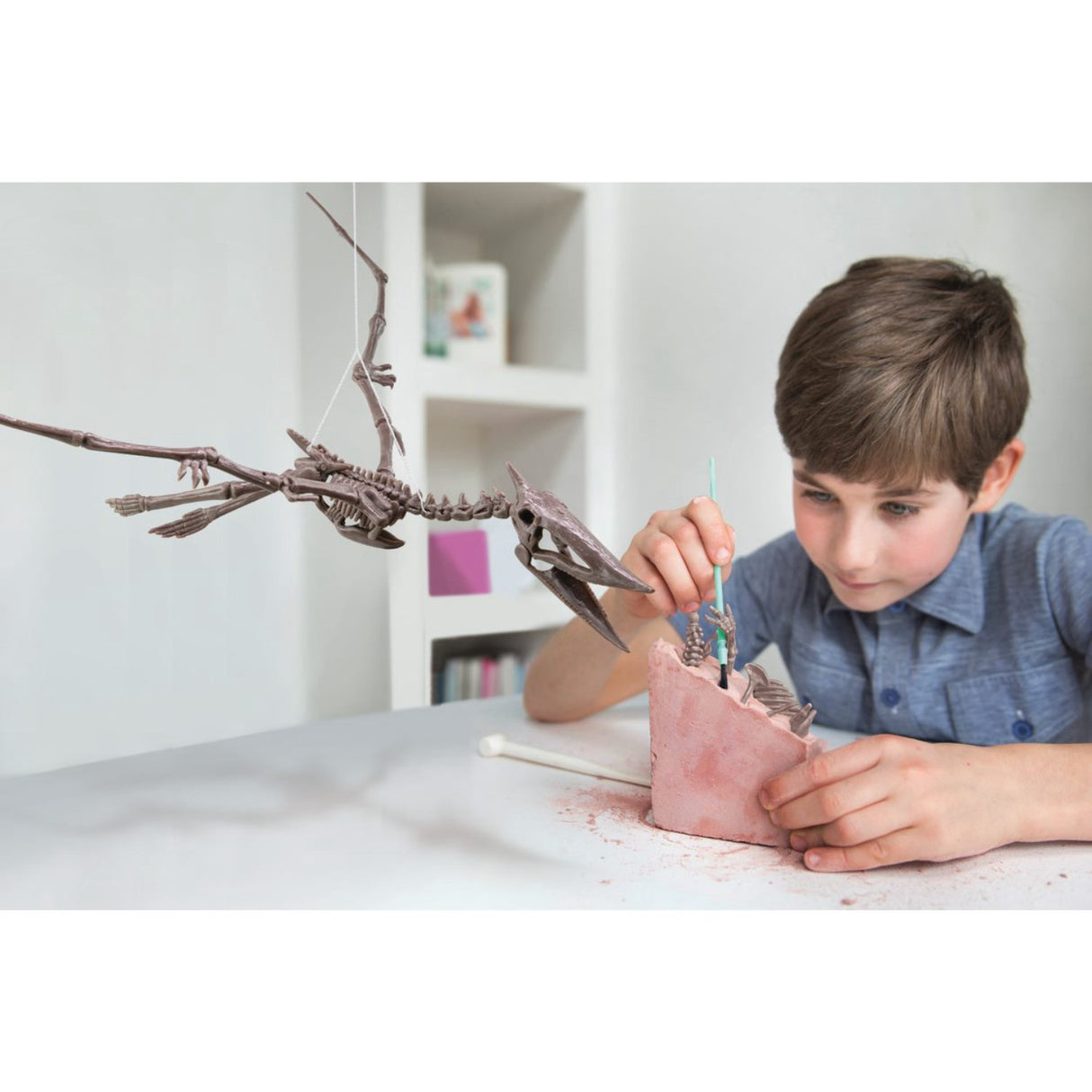 4M Excavate A Pteranodon-Skeleton