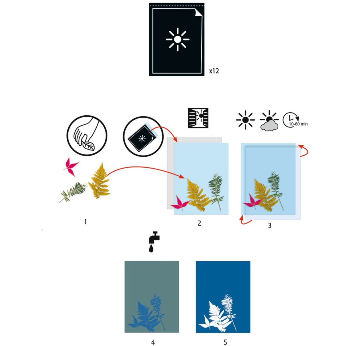 Djeco Cyanotype, Paper