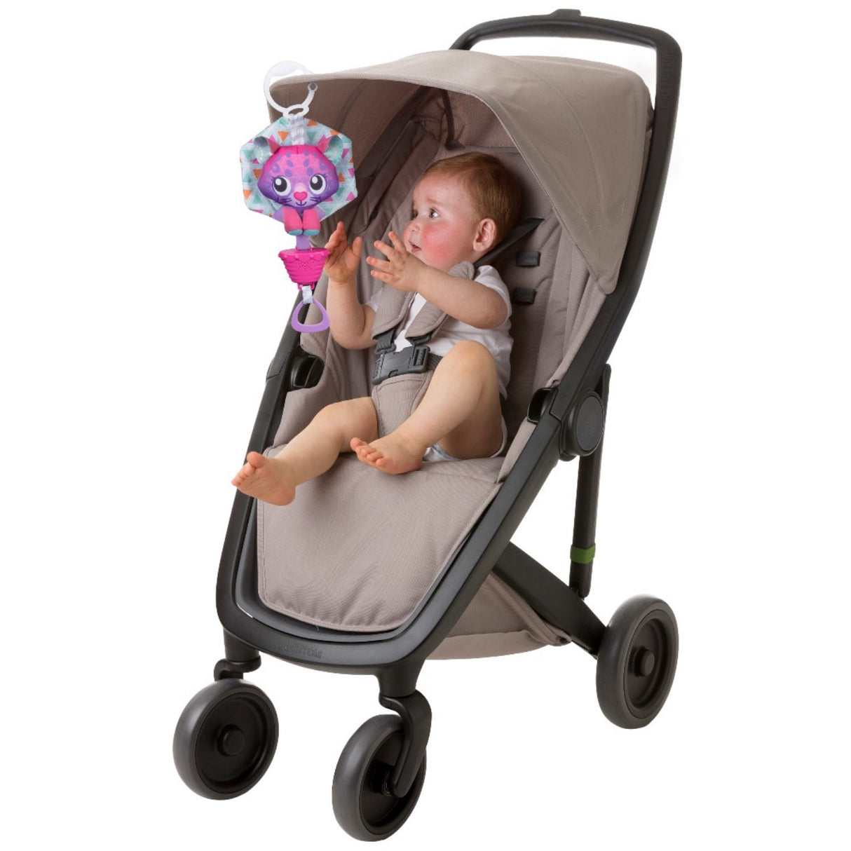 PlayGro Cat With Music