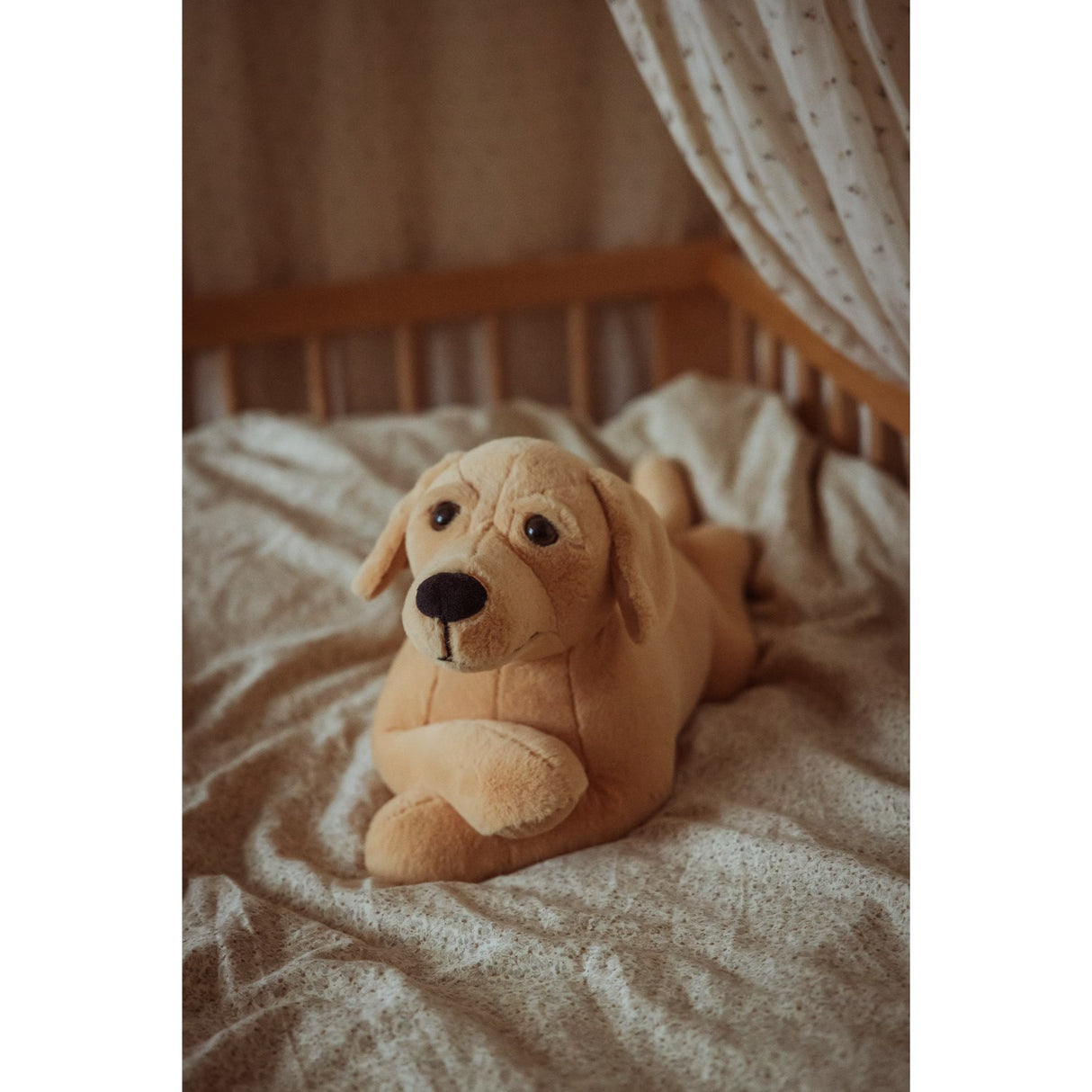 by Astrup Gravitational Dog, 2.2 kg.