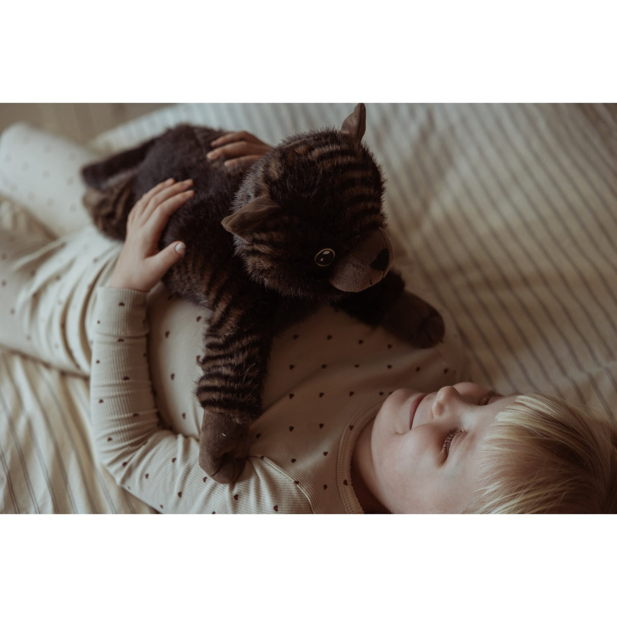 by Astrup Gravity, cat, 1.2 kg.