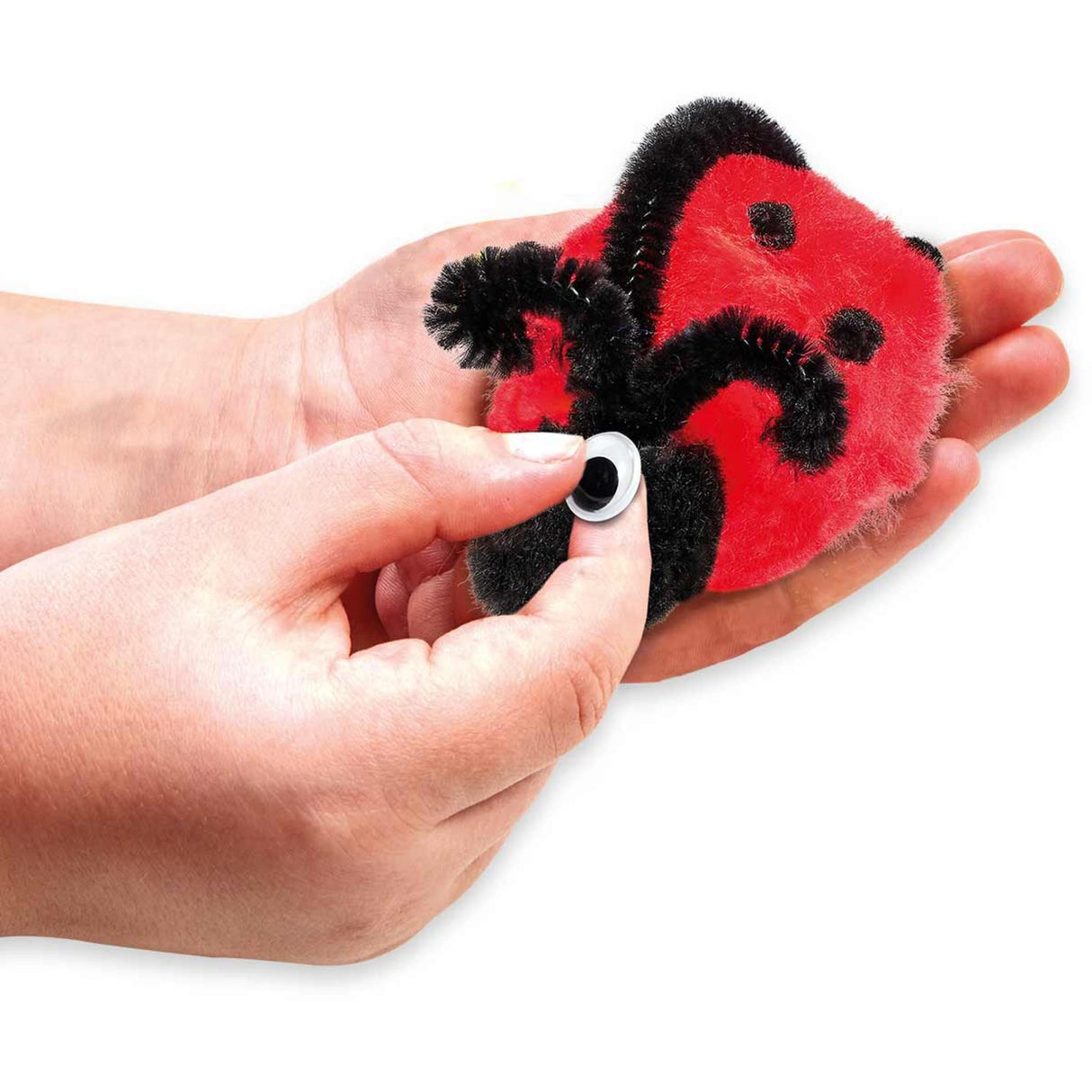 Out Of The Box Pompondyr