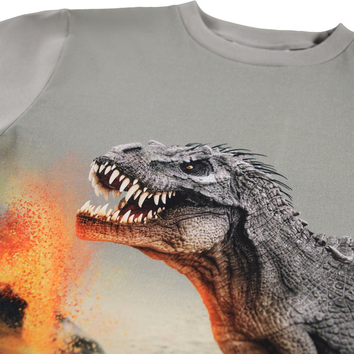 Molo Dinosaur Fog Rube Blouse