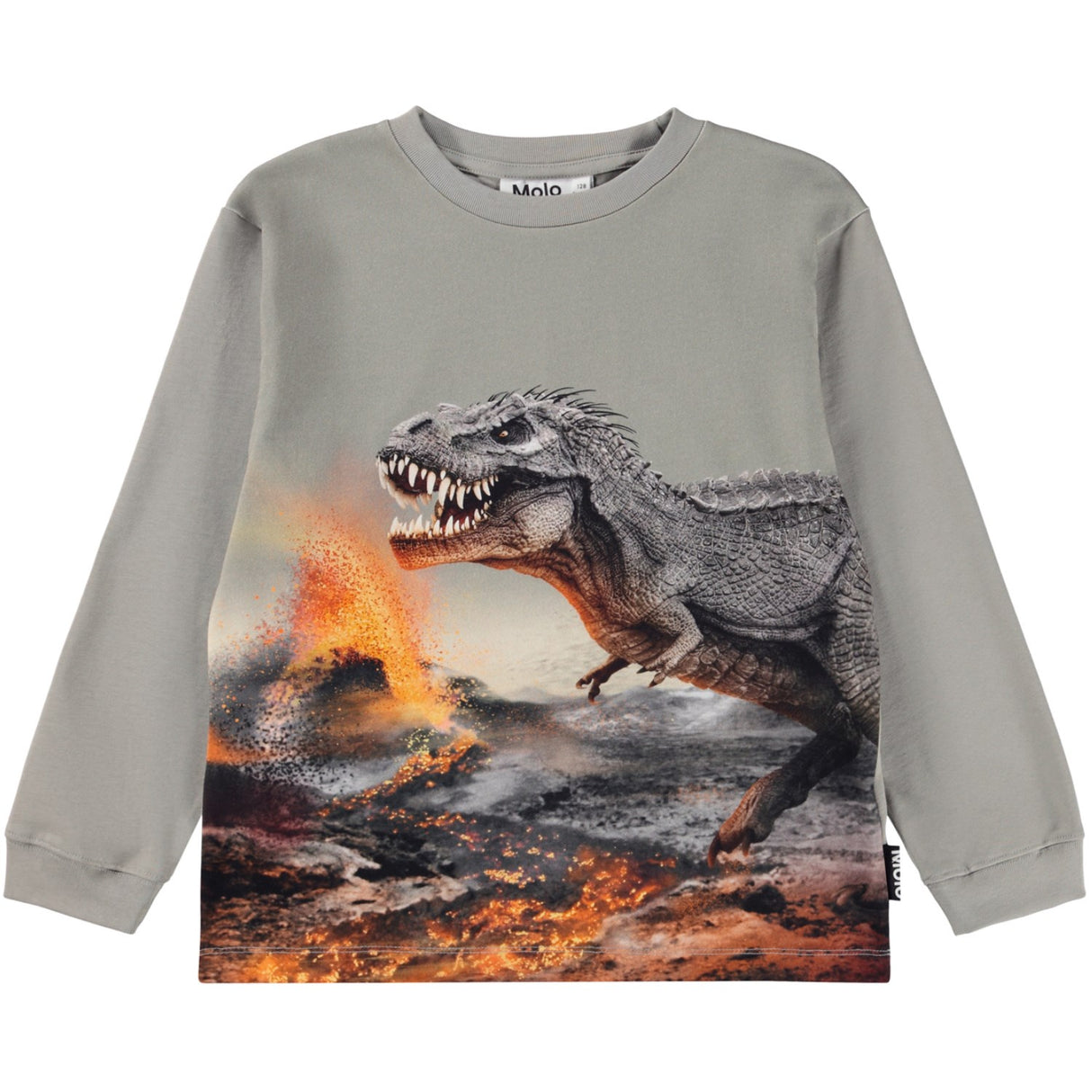 Molo Dinosaur Fog Rube Blouse