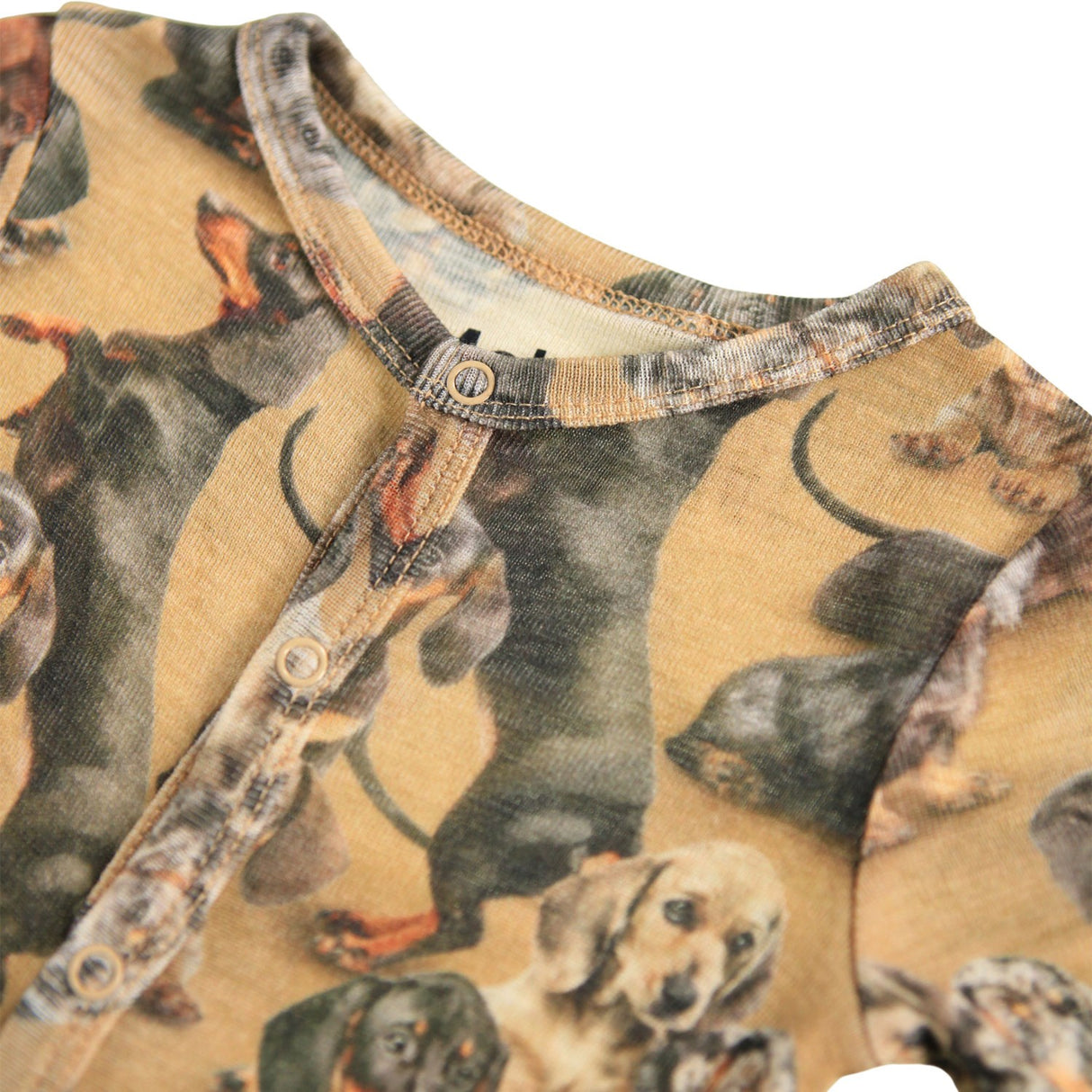 Molo Dachshunds Fahari Wool Bodysuits Jersey