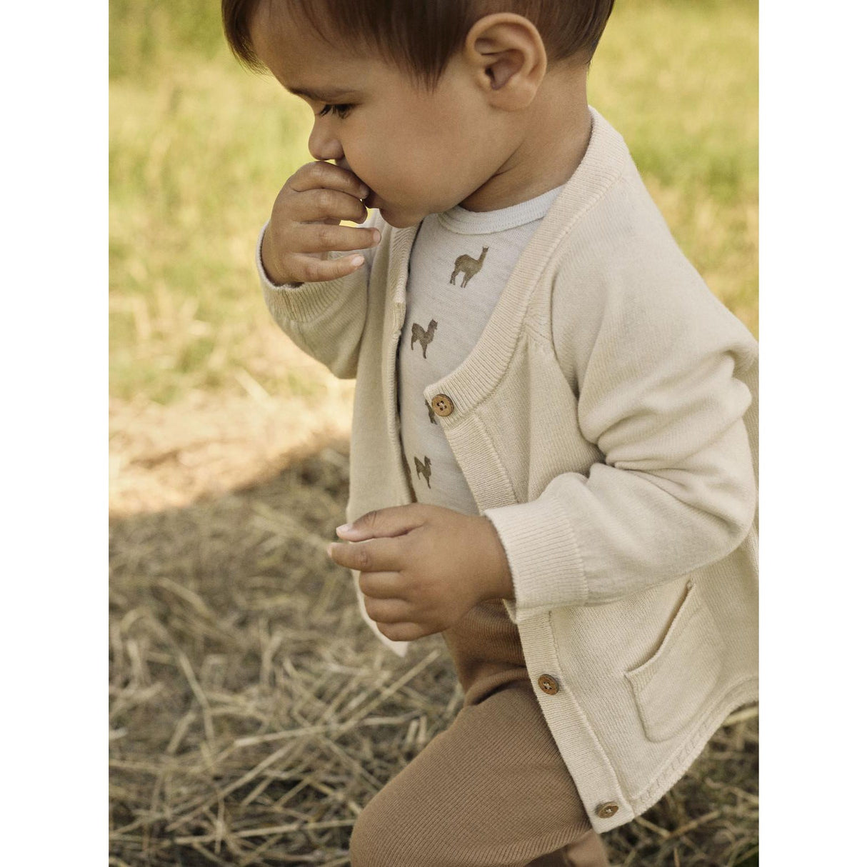 Lil'Atelier Gray Dawn Lama Nbmnoel Nor Wool Ls Slim Body Lil