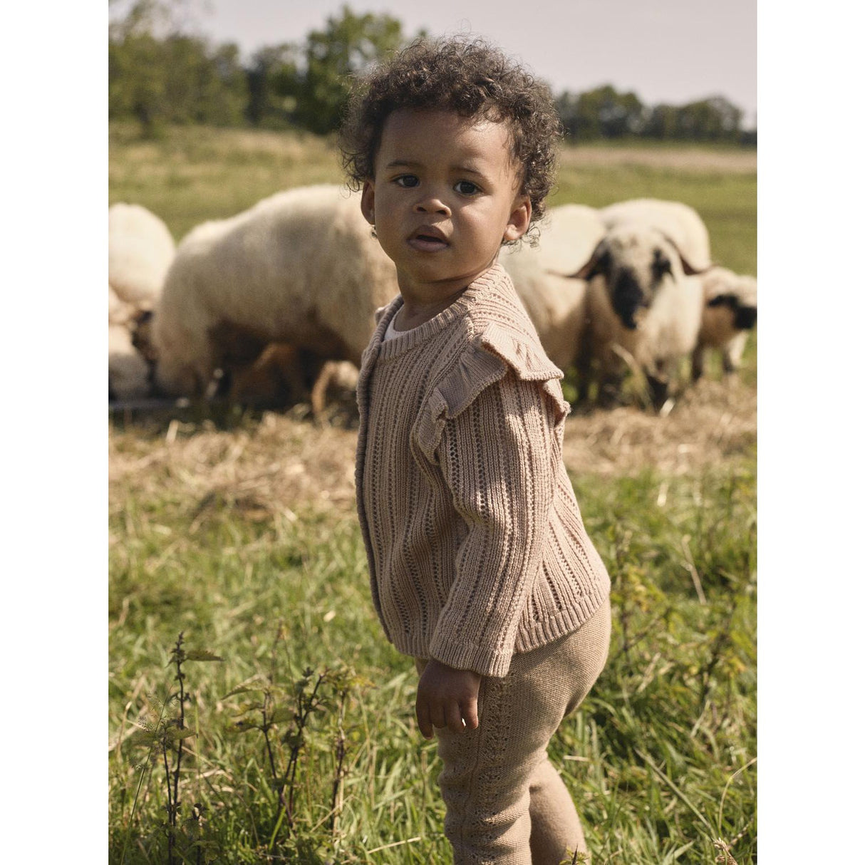 Lil'Atelier Roebuck Nbfnomo Ls Knit Card Lil