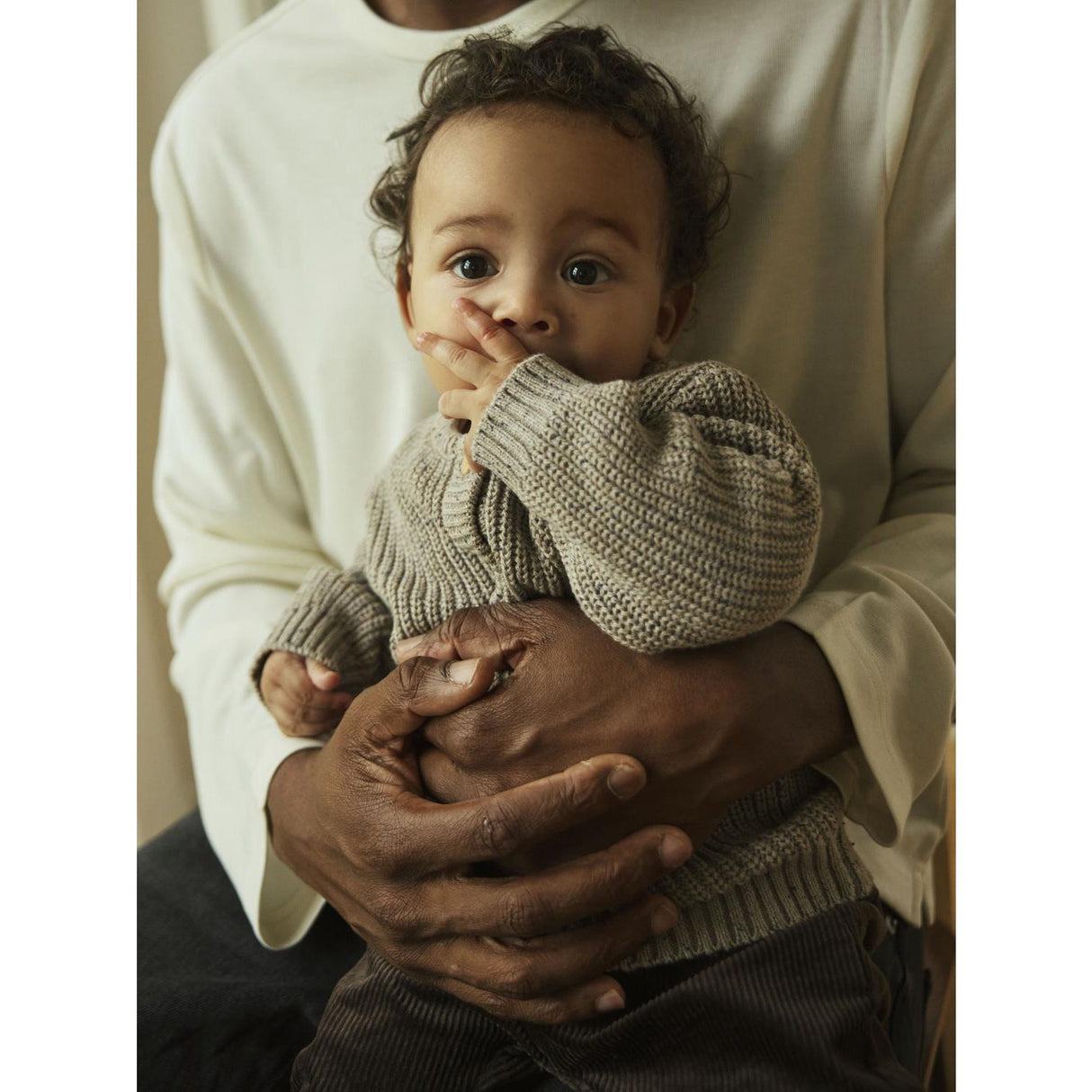 Name It Island Fossil Nbmnorman Ls Knit Card