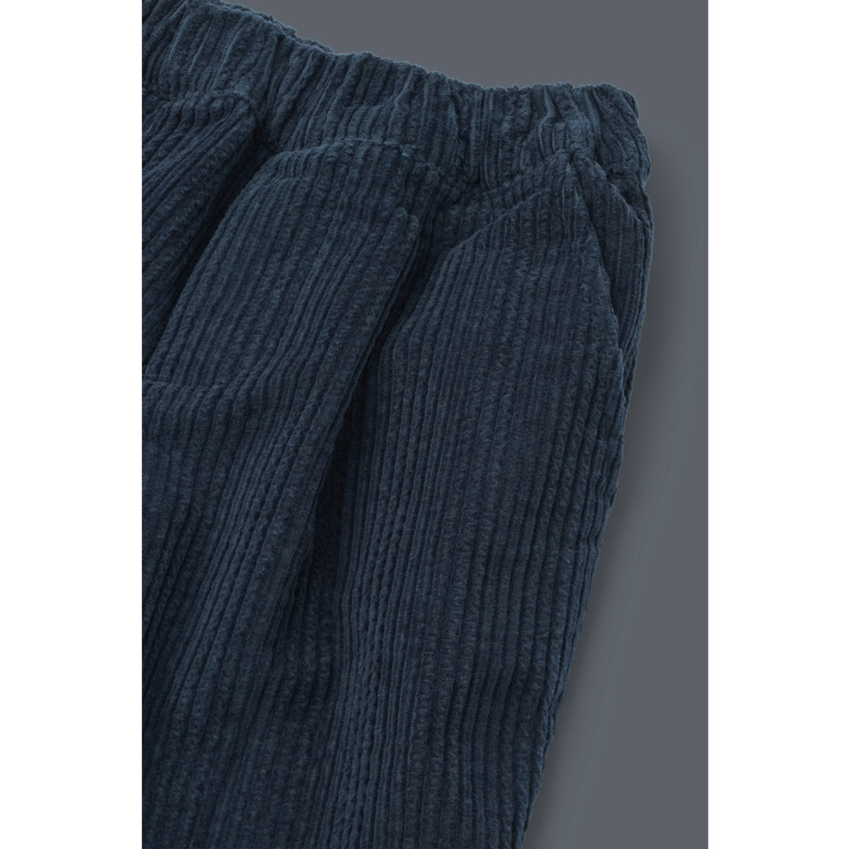 LIEWOOD Classic Navy Borris Corduroy Pants
