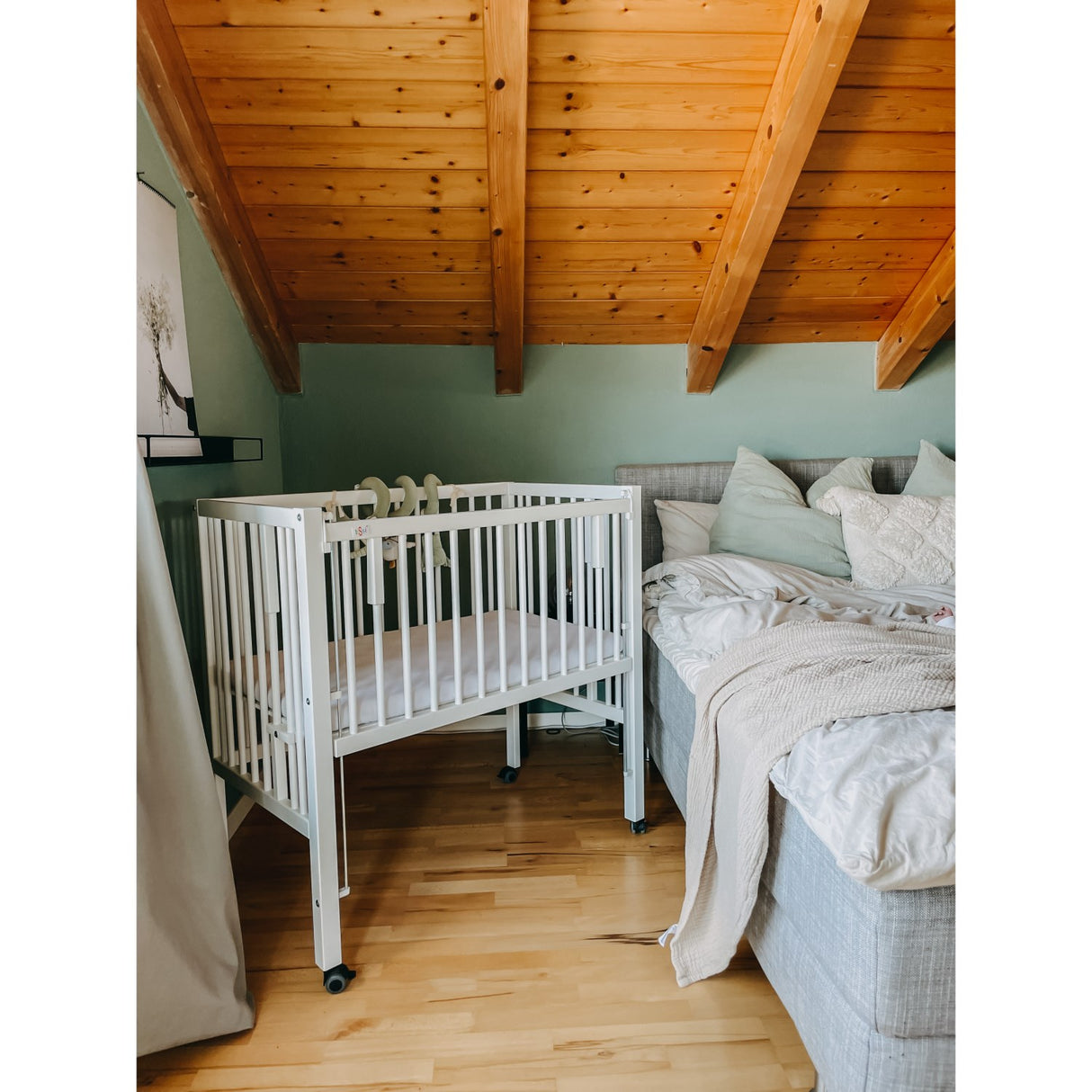 tiSsi® White Laquer Maxi Crob Solid Beech