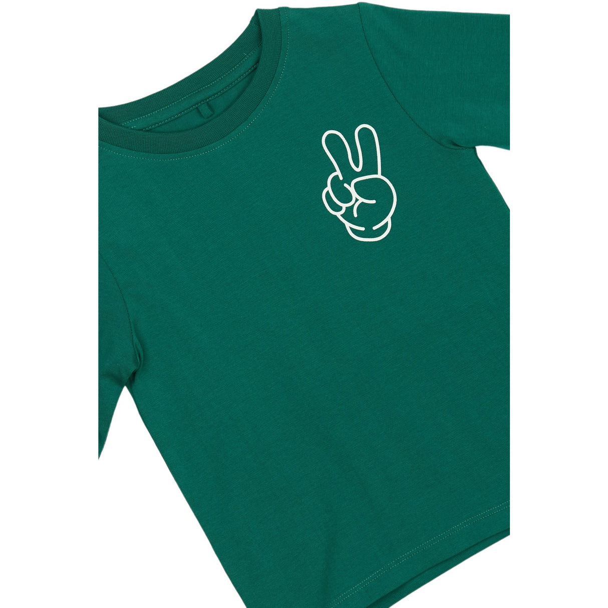 THE NEW Siblings Alpine Green TNSTPierson L_S Tee