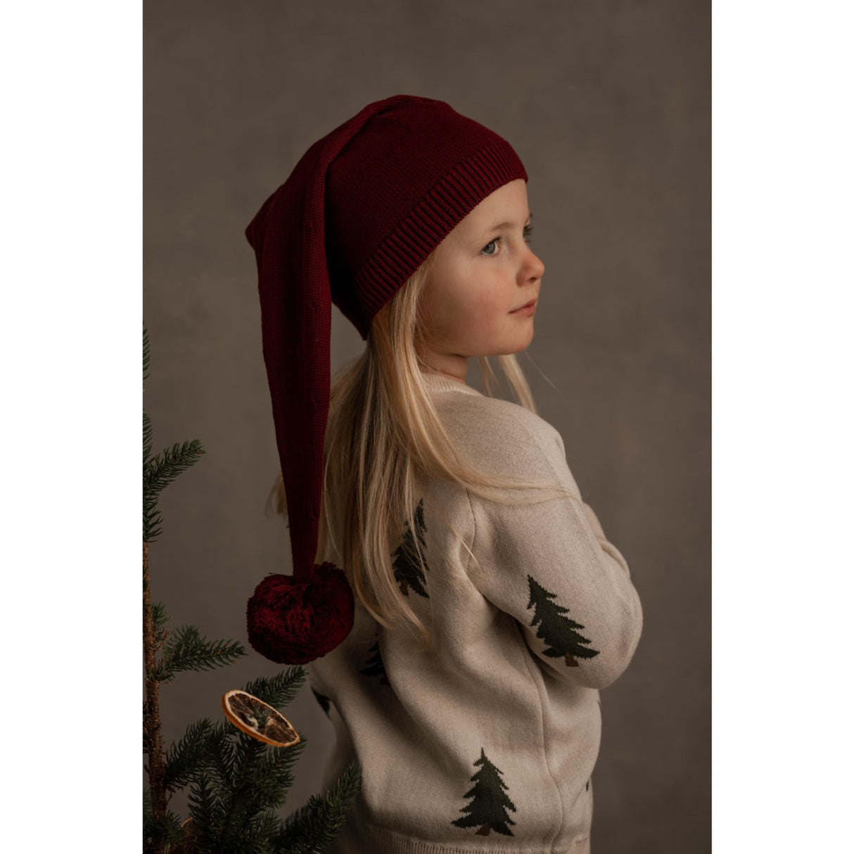 Hanevild Carbenet Christmas Hat