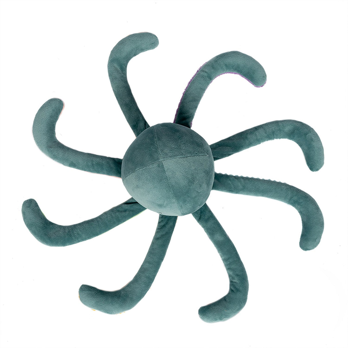 by Astrup Gravity, Octopus, 1.2 kg