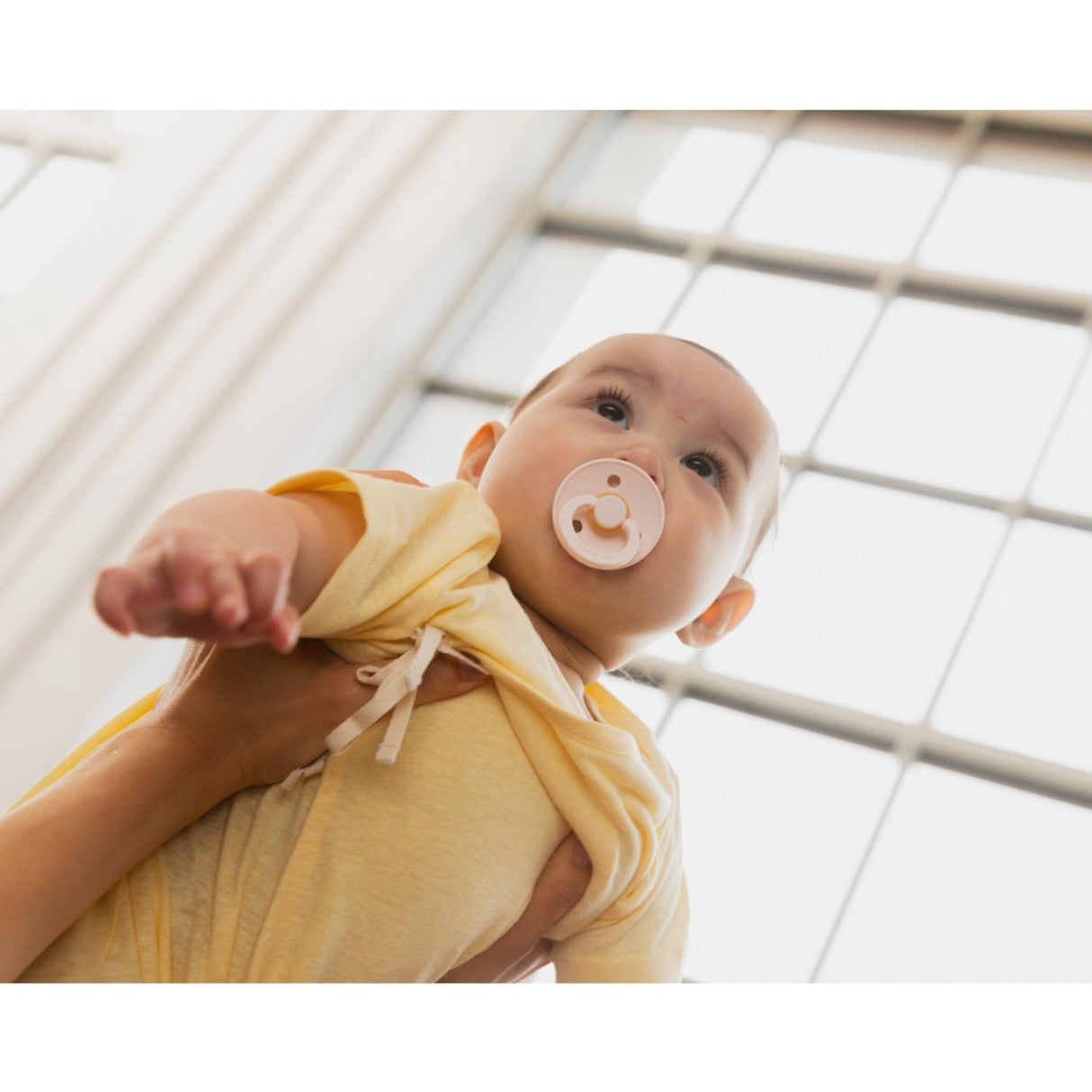 Bibs Petal Pacifier Colour 2-Pack Latex Plum