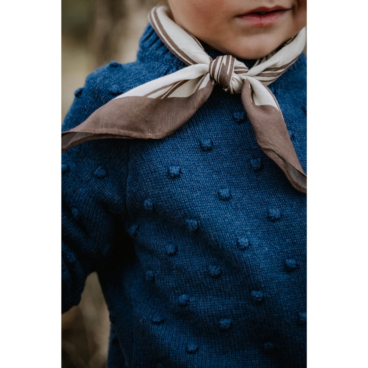 Fliink Insignia Blue Bon Dot Pullover