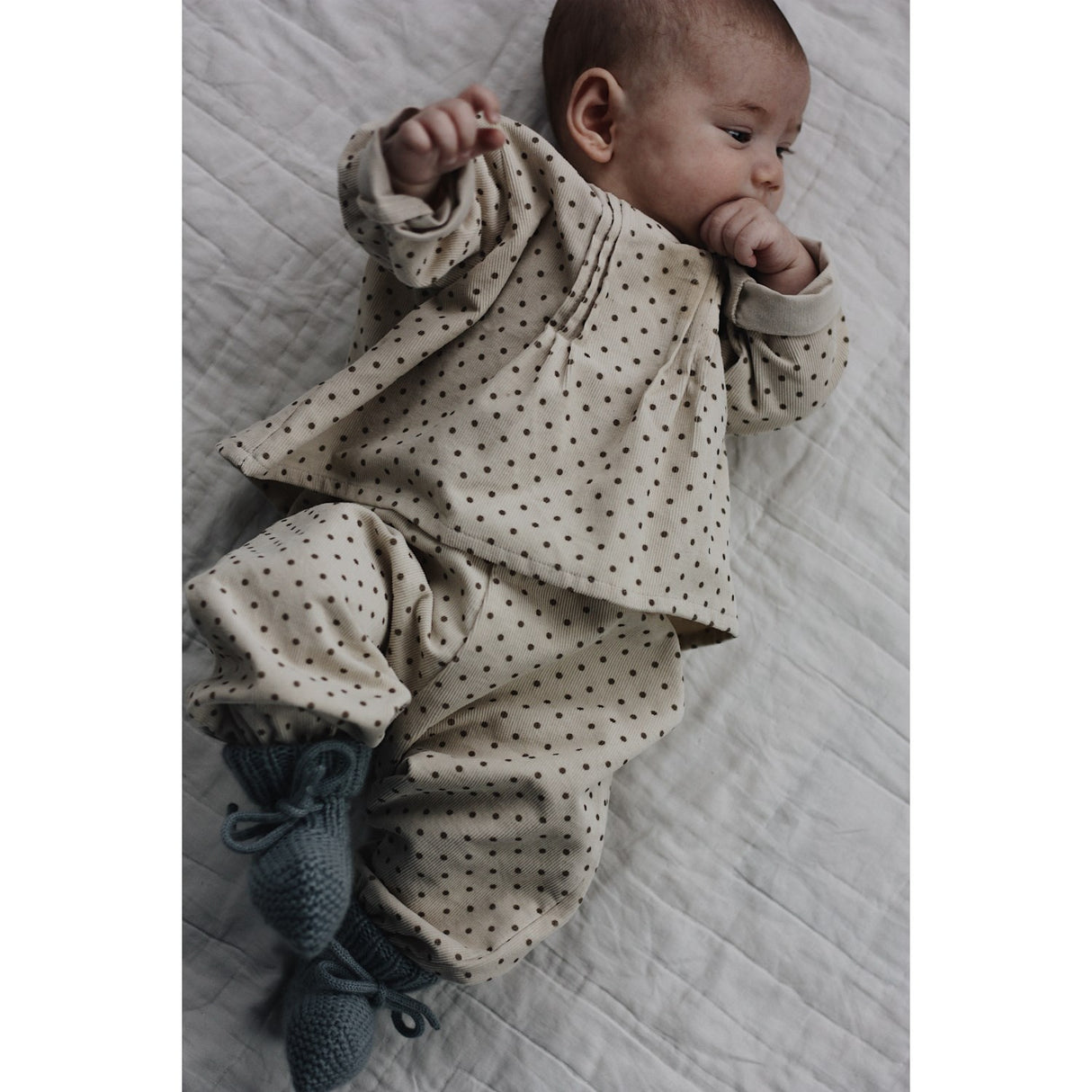 Lalaby BrownDot Holly Top