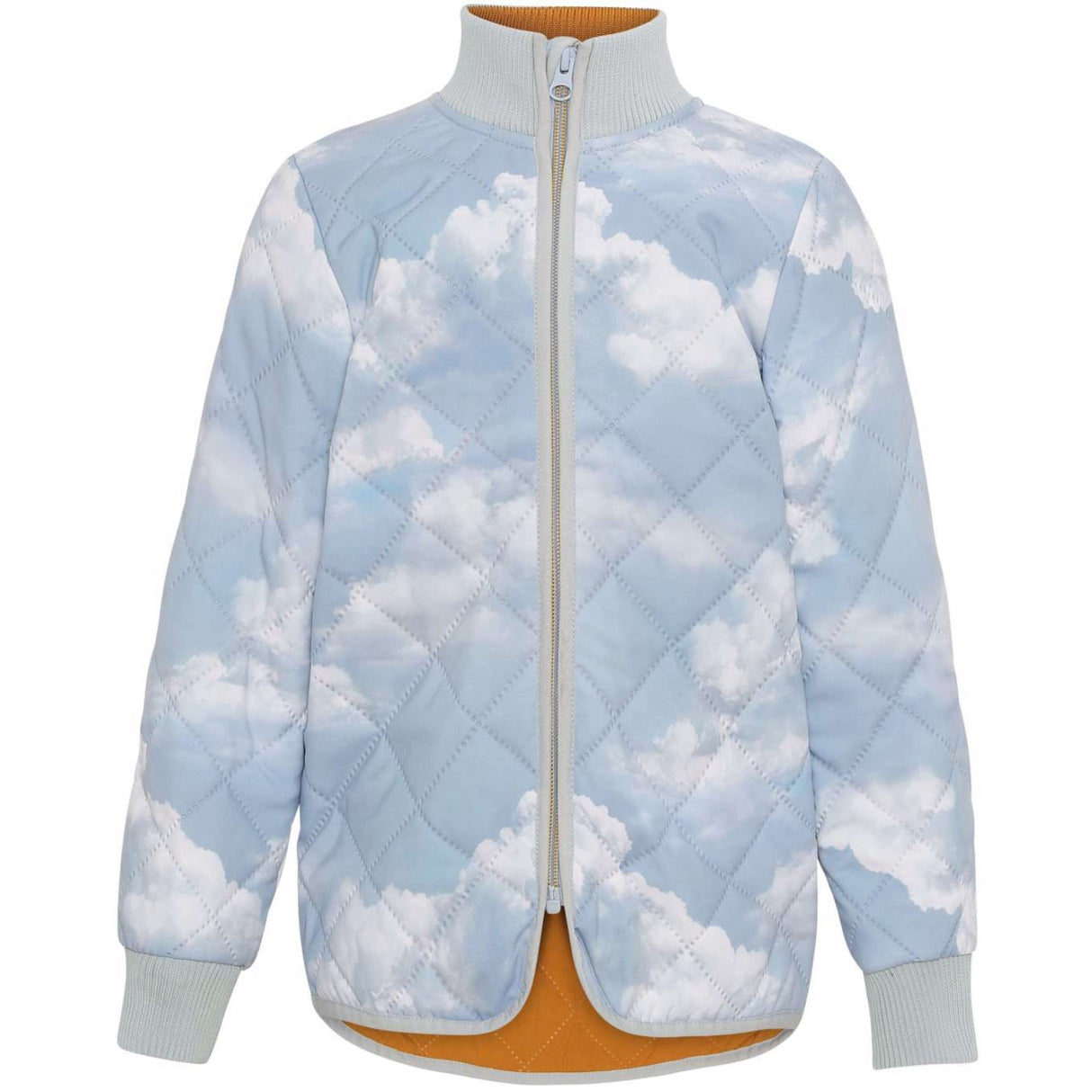 Molo Cloudy Day Husky Soft Shell Jacket
