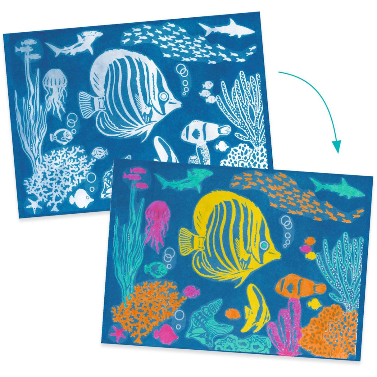 Djeco Cyanotype/Light Print, Sea