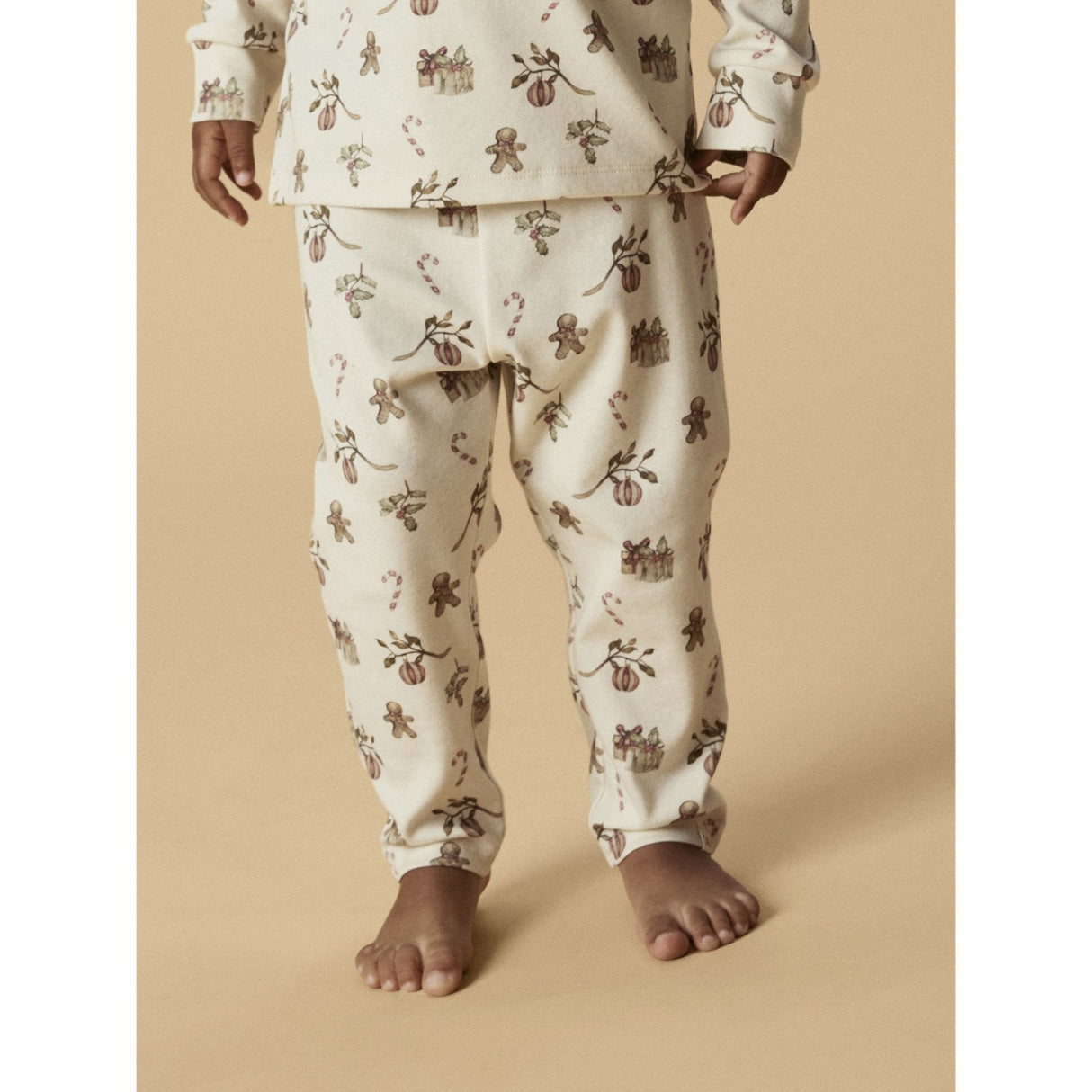 Lil'Atelier Turtledove Christmas Nmnlayo Git Ls Nightset Lil