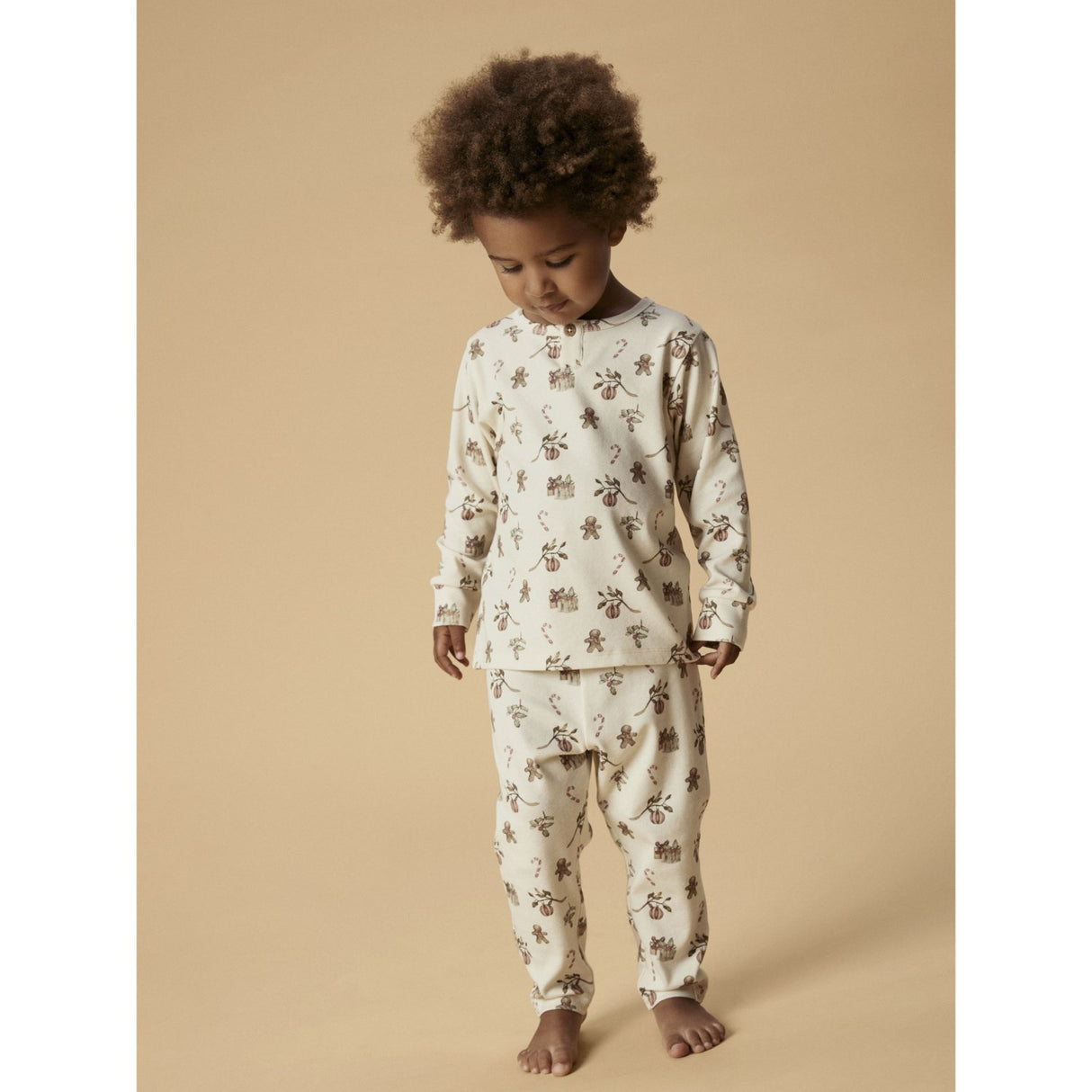 Lil'Atelier Turtledove Christmas Nmnlayo Git Ls Nightset Lil